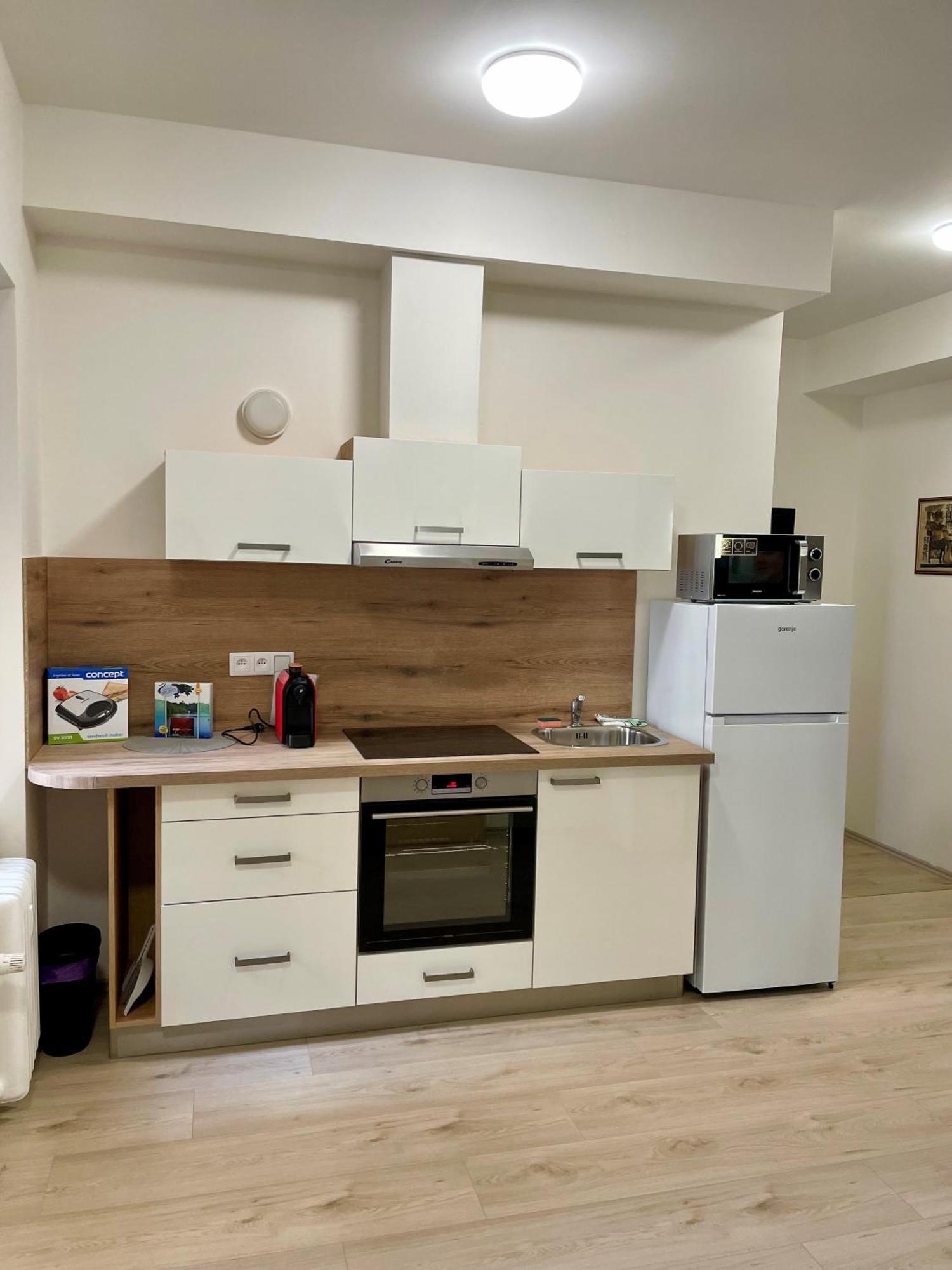 Apartman Josefska Daire Brno Dış mekan fotoğraf